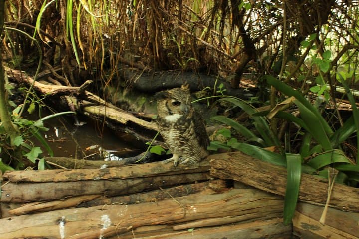 Private Tour to La Reserva BioPark from Bogotá — 6-Hour Wildlife Immersion photo 5