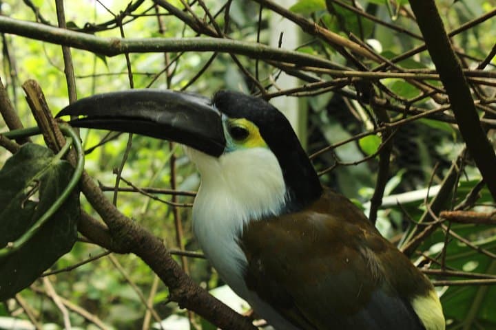 Private Tour to La Reserva BioPark from Bogotá — 6-Hour Wildlife Immersion photo 2