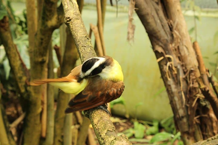 Private Tour to La Reserva BioPark from Bogotá — 6-Hour Wildlife Immersion photo 6
