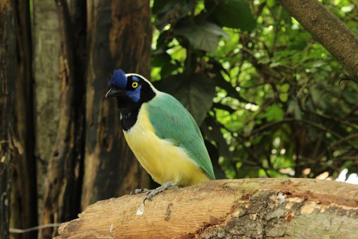 Private Tour to La Reserva BioPark from Bogotá — 6-Hour Wildlife Immersion photo 4