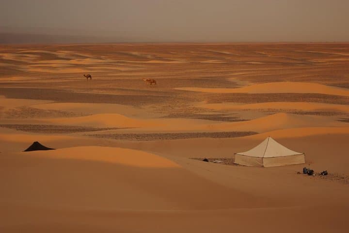 Méhari Trip from M'Hamid: Camel Trek to Erg Ezzahar Bivouac photo 5