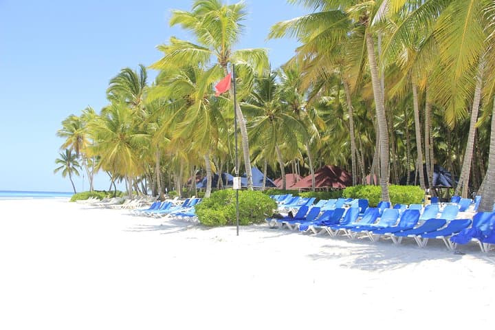 Full-Day Saona Island Excursion from Punta Cana — Speedboat & Catamaran Day Trip photo 6