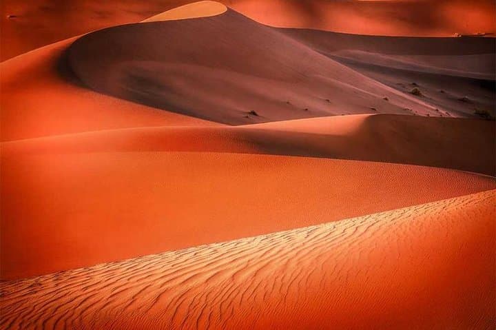Red Dune Safari in Lehbab: Quad Biking, 4x4 Dune Bashing & Desert BBQ