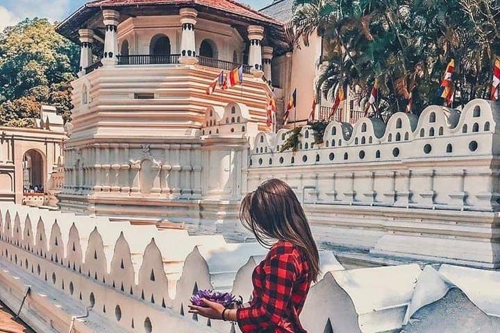 Kandy and Pinnawala Day Trip from Colombo: Temple, Botanic Gardens & Elephants