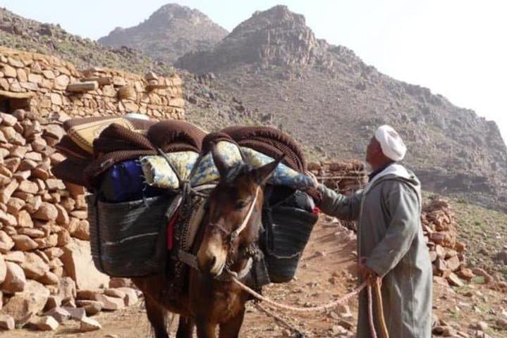 Ourika Valley Day Trip from Marrakech: Waterfalls, Berber Villages & Atlas Views photo 5