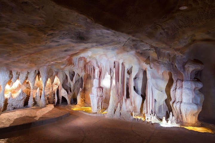 Springbrook & Tamborine Rainforest Day Tour — Natural Bridge, Glow Worms & Curtis Falls photo 3