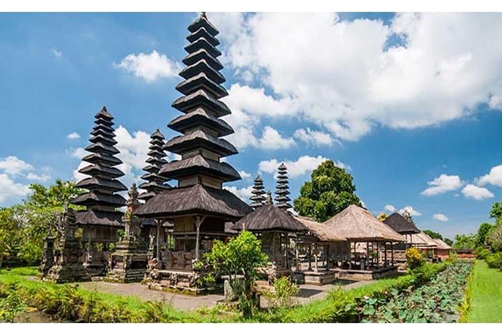 Ubud Day Tour: Monkey Forest, Tegalalang Rice Terraces, Jungle Swing & Tanah Lot Temple photo 4