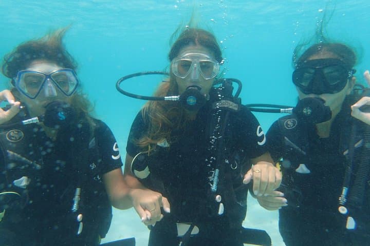 PADI Open Water Diver Course Koh Tao — 3-Day Certification at Scuba Birds photo 2