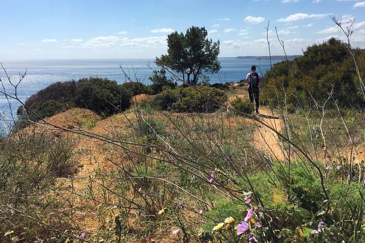 Wake Up Run: Atlantic Clifftops & Ancient Paths near Lagos photo 3