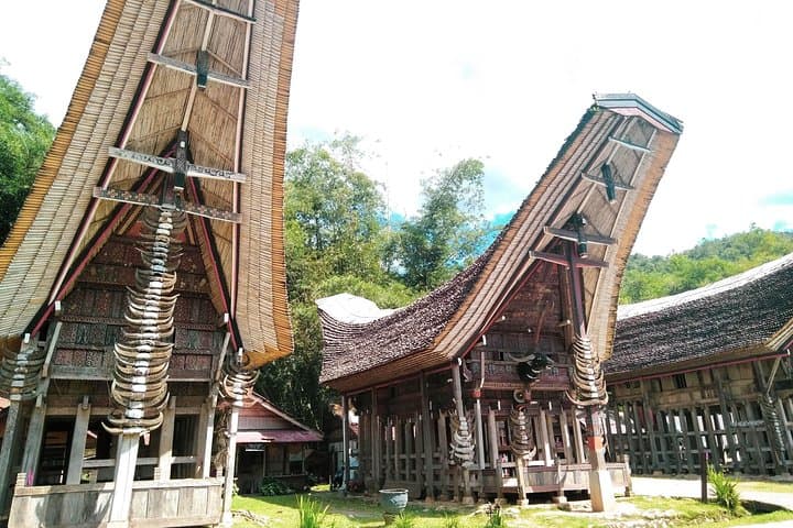 Toraja Highlands: 4-Day Cultural & Scenic Tour from Makassar photo 5