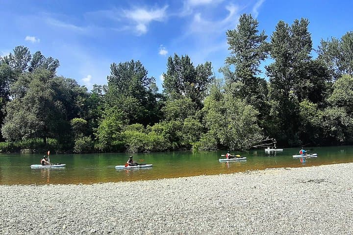SUP Exploring the Drava: Paddle the Mura-Drava-Danube Biosphere Reserve photo 3