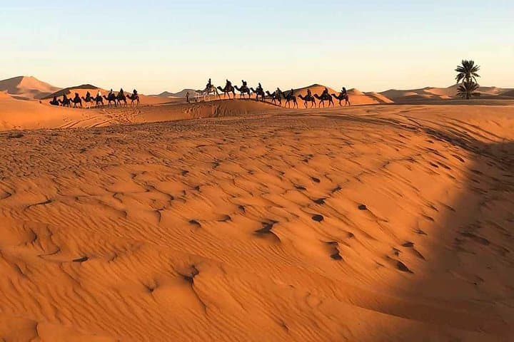 From Marrakech to Fez: 3-Day Sahara Adventure Across Erg Chebbi, Dades & Todra photo 3