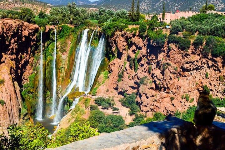 Ouzoud Waterfalls Day Trip from Marrakech: Swim with Monkeys & Taste Tajine photo 2
