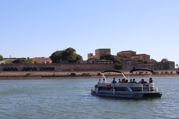 Ria Formosa Birdwatching Boat Tour from Faro: 2-Hour Guided Cruise photo 2