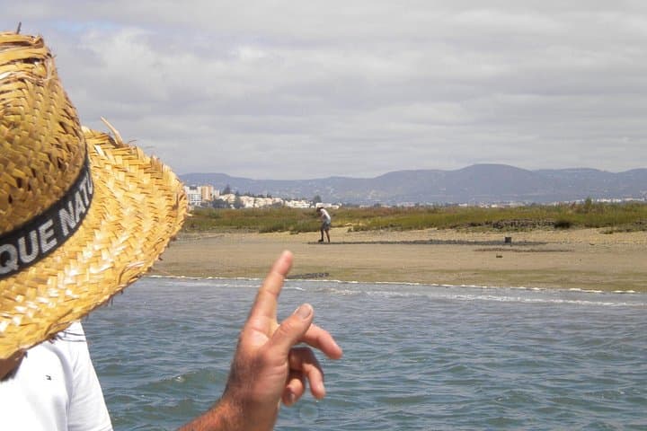 Ria Formosa Birdwatching Boat Tour from Faro: 2-Hour Guided Cruise photo 3