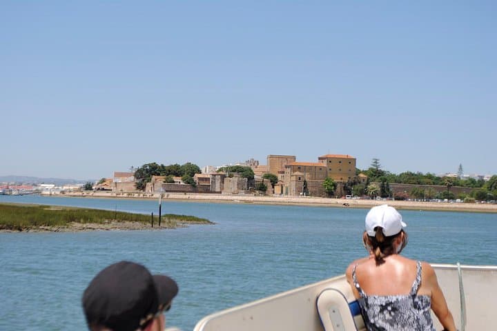 Ria Formosa Birdwatching Boat Tour from Faro: 2-Hour Guided Cruise photo 4