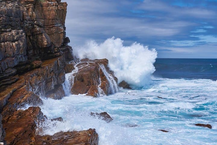 Cape Peninsula Private Full-Day Tour: Cape Point, Chapman's Peak & Penguins photo 3