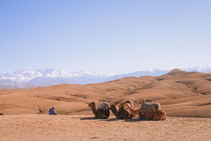 Atlas Mountains, Agafay Desert & Waterfalls Day Trip from Marrakech photo 5