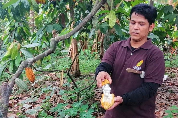 Cocoa and Cloud Forest Private Day Tour from Guayaquil — Bucay Waterfalls & Cacao Farm Experience photo 2
