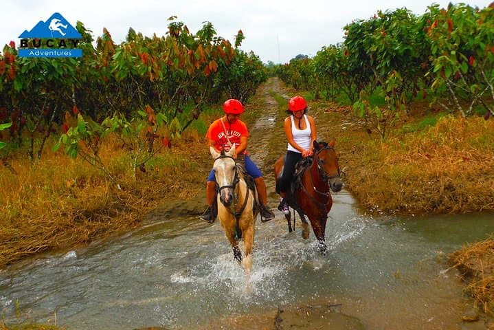 Horseback Riding & Shuar Community Day Trip from Guayaquil