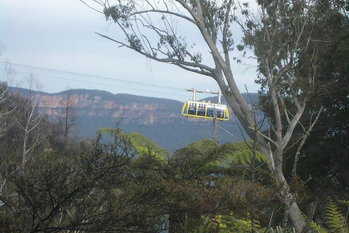 Private Blue Mountains Day Tour from Sydney — Three Sisters, ScenicWorld & Wildlife Park photo 3