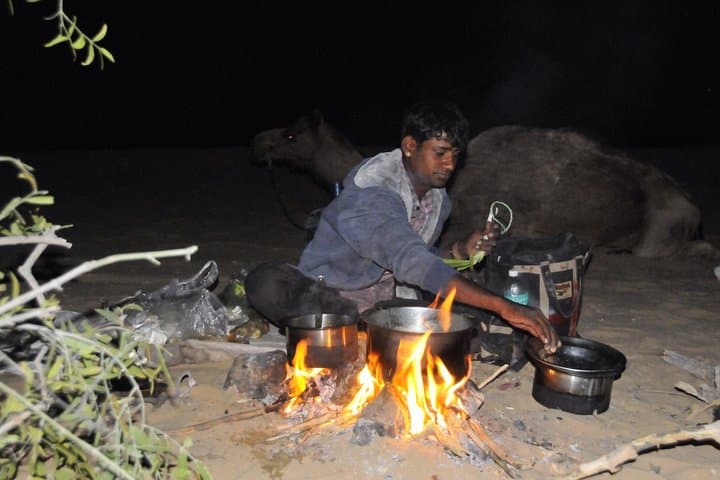 Overnight Camel Safari in the Thar: Remote Dunes, Village Visits & Starry Camp photo 5