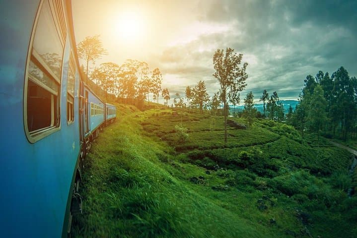 Sri Lanka 6-Day Adventure: Kandy, Tea Country, Yala & Southern Coast