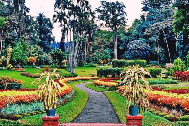 Private Kandy Day Tour for Couples: Temple, Tea & Spice Gardens