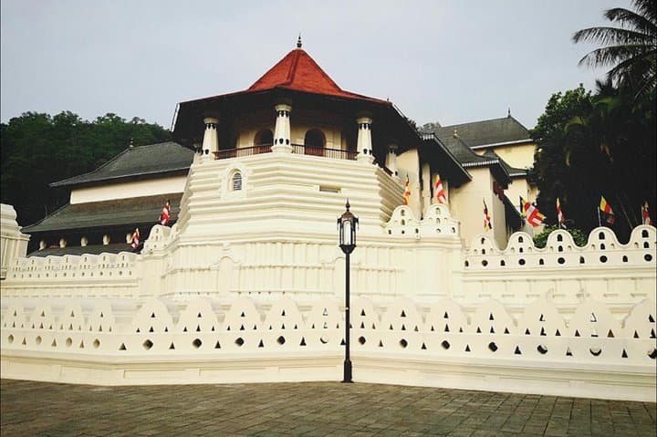 All-in-One Sri Lanka: 8-Day Private Tour from Colombo photo 5