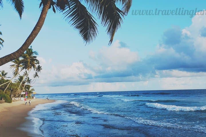 Mini Sri Lanka itinerary: 4 nights, 5 days — Sigiriya to Bentota photo 2