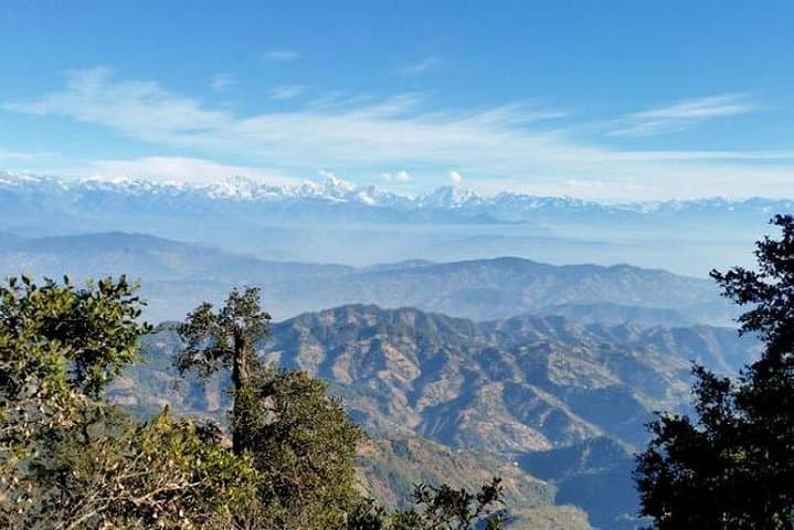 Phulchowki Day Hike: Summit Views & Birding in Kathmandu Valley photo 5