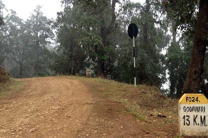 Phulchowki Day Hike: Summit Views & Birding in Kathmandu Valley photo 6