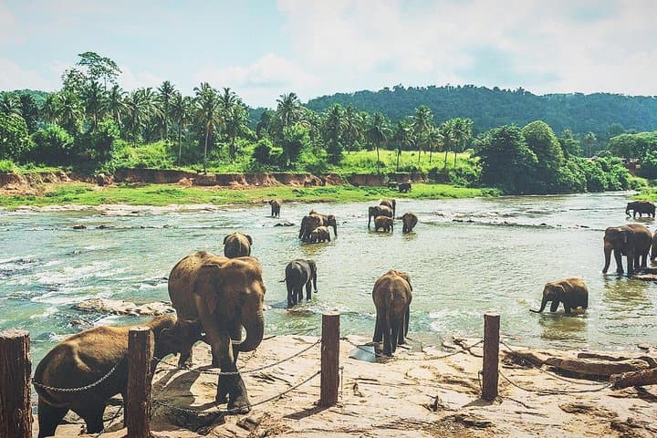 Mini Sri Lanka itinerary: 4 nights, 5 days — Sigiriya to Bentota photo 6