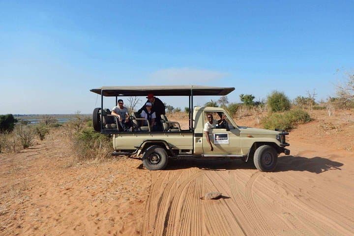Full-Day Chobe Safari Game Drive from Kasane — Elephants, Lions & River Lunch photo 2
