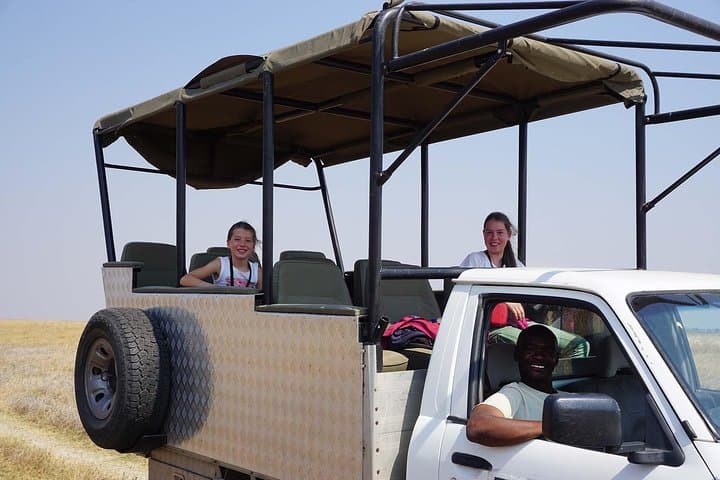 Full-Day Chobe Safari Game Drive from Kasane — Elephants, Lions & River Lunch photo 3