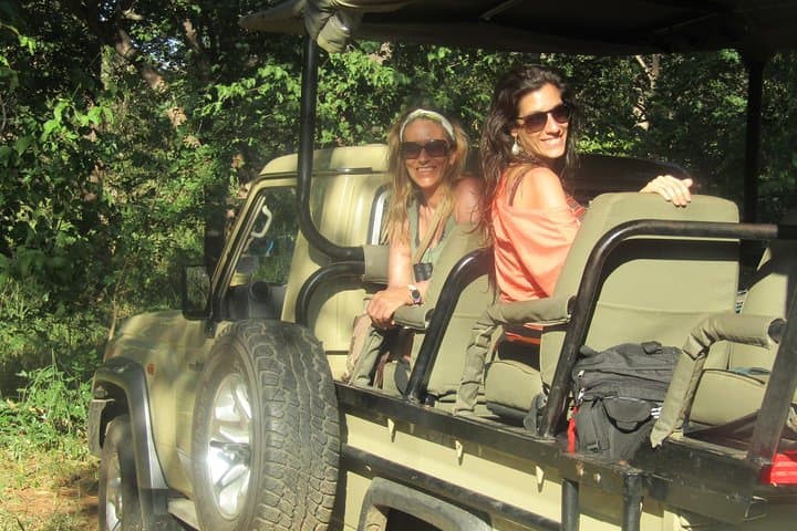 Full-Day Chobe Safari Game Drive from Kasane — Elephants, Lions & River Lunch photo 4
