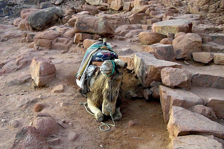 Sunrise on Mt. Sinai: Night Hike to Jebel Musa and St. Catherine Monastery photo 4