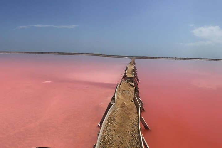 Pink Sea of Galerazamba: Cartagena Salt‑Flats Tour to the Red Sea