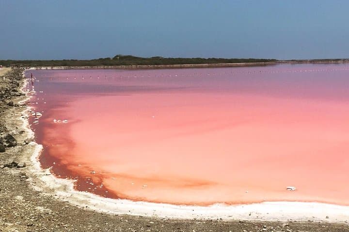 Pink Sea of Galerazamba: Cartagena Salt‑Flats Tour to the Red Sea photo 2