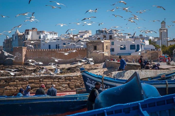 Day Trip from Marrakesh to Essaouira — Coastal Winds, Argan Cooperatives & Skala Fortress photo 4