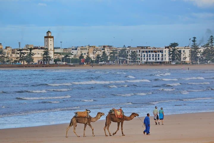 Private Essaouira Day Trip from Marrakech: Medina, Ramparts & Atlantic Beaches photo 4