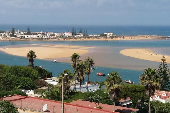 Private Essaouira Day Trip from Marrakech: Medina, Ramparts & Atlantic Beaches photo 6
