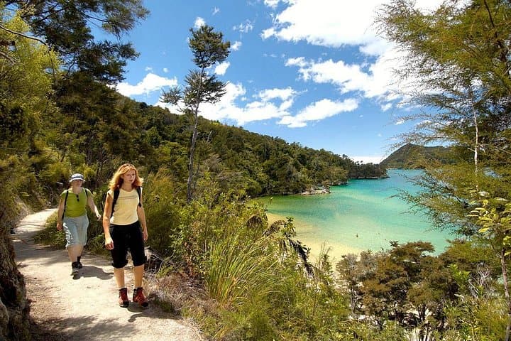 Half-Day Kayak and Coastal Walk in Abel Tasman: Marahau to Observation Beach