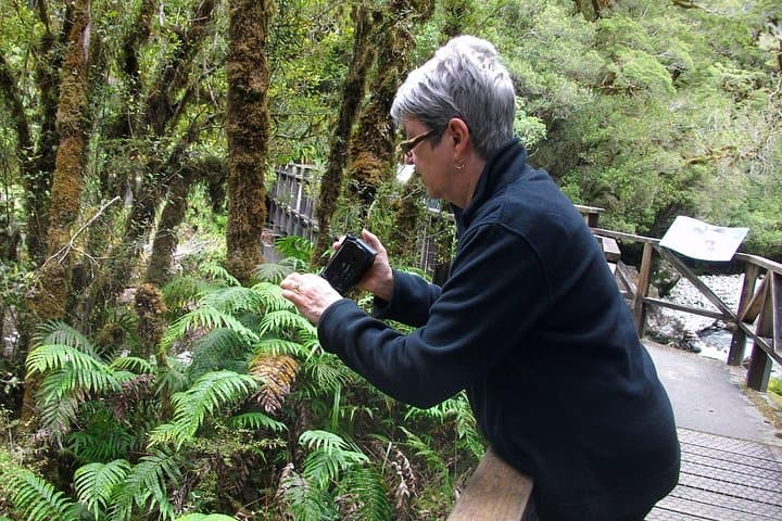 Luxury Milford Sound Coach and Scenic Cruise from Queenstown photo 4
