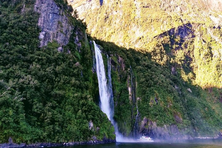Luxury Milford Sound Coach and Scenic Cruise from Queenstown photo 5