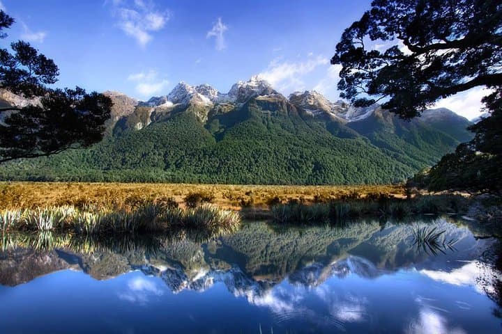 Luxury Milford Sound Coach and Scenic Cruise from Queenstown photo 2