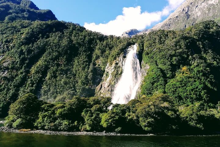 Luxury Milford Sound Coach and Scenic Cruise from Queenstown photo 6