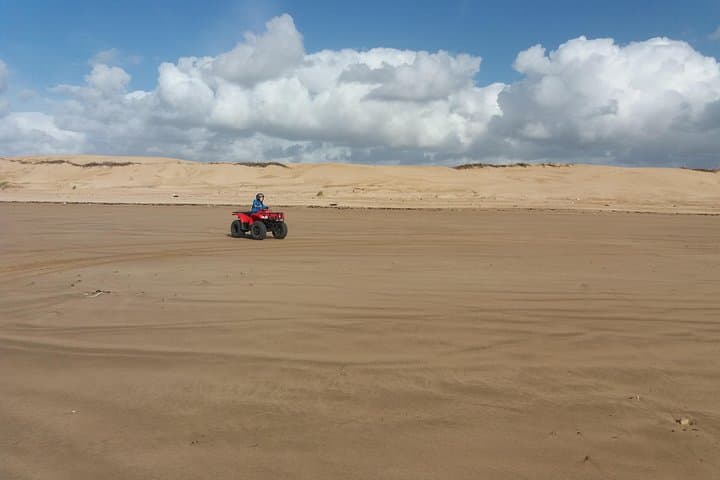 Essaouira Quad Adventure: Beach, Dunes & Forest Ride from the Sea photo 6