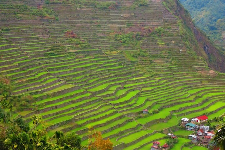 Banaue Rice Terraces Escape: 3-Day Cultural Trek to Batad, Tappiya & Hot Springs