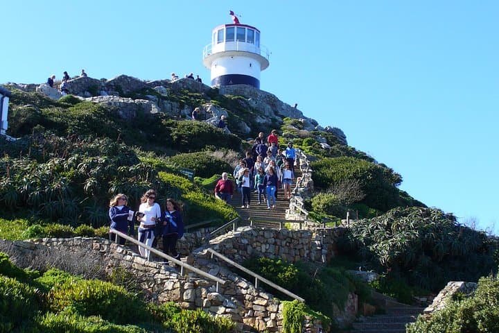 Private Cape Peninsula Tour: Cape Point, Chapman's Peak & Boulders Beach Day Trip photo 3